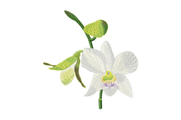 Reviewing the Tropical Flower White Orchid Embroidery Design